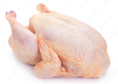 دجاج حارتنا